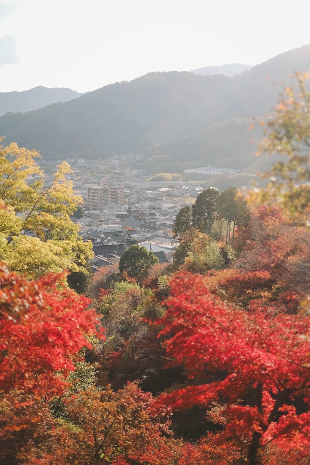 兵庫宍粟市・最上山紅葉公園｜1768年創業的老字號酒廠「老松酒造」91