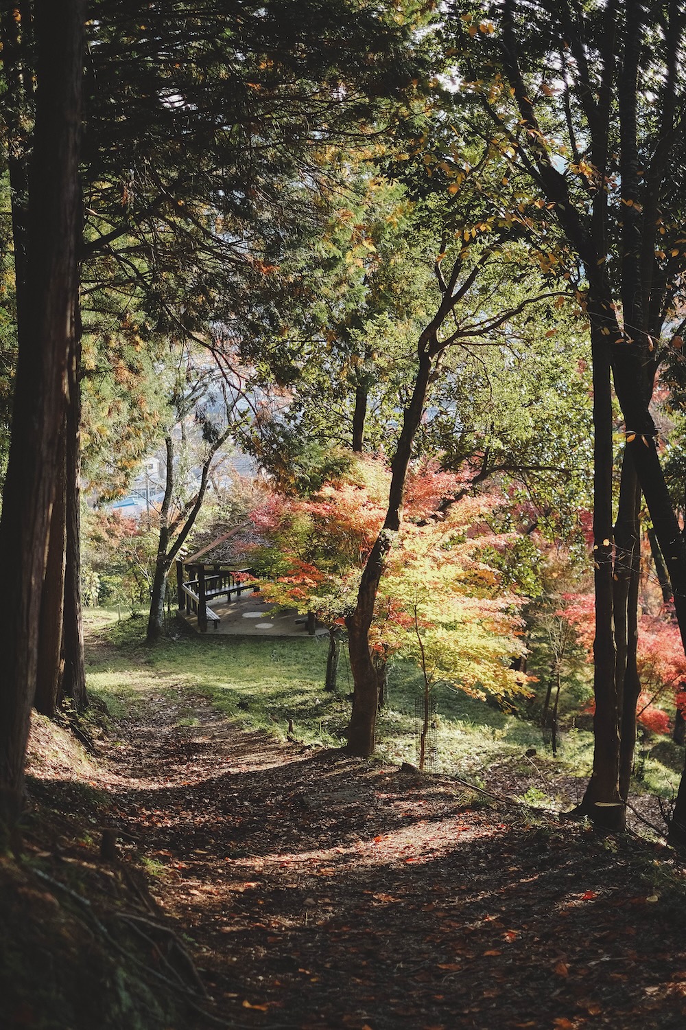 兵庫宍粟市・最上山紅葉公園｜1768年創業的老字號酒廠「老松酒造」93