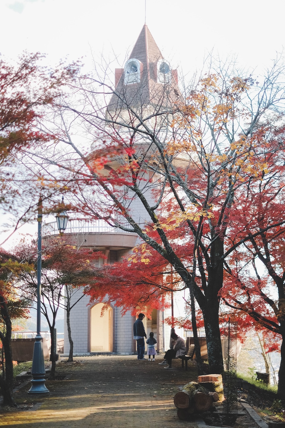 兵庫宍粟市・最上山紅葉公園｜秋日賞楓一日遊，1768年創業酒廠「老松酒造」＆昭和喫茶店「Cafe Ocean」