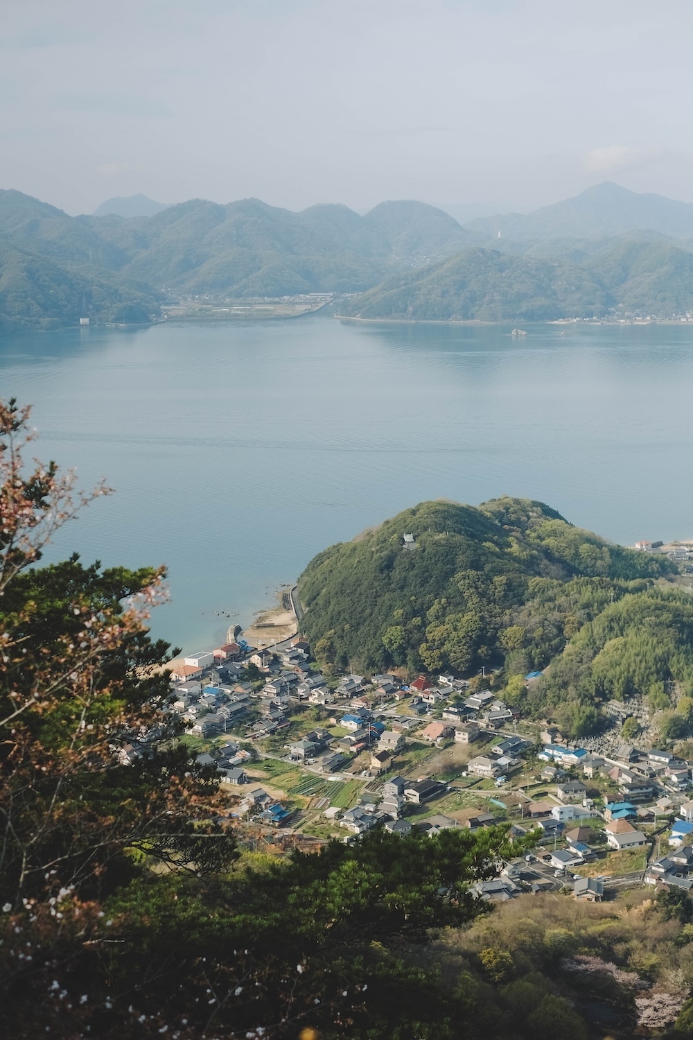 瀨戶內海2天1夜跳島追櫻｜從尾島向島、生口島至紫雲出山，橫跨4縣春日絕景之旅10