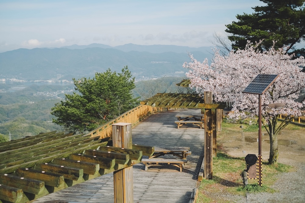 瀨戶內海2天1夜跳島追櫻｜從尾島向島、生口島至紫雲出山，橫跨4縣春日絕景之旅13