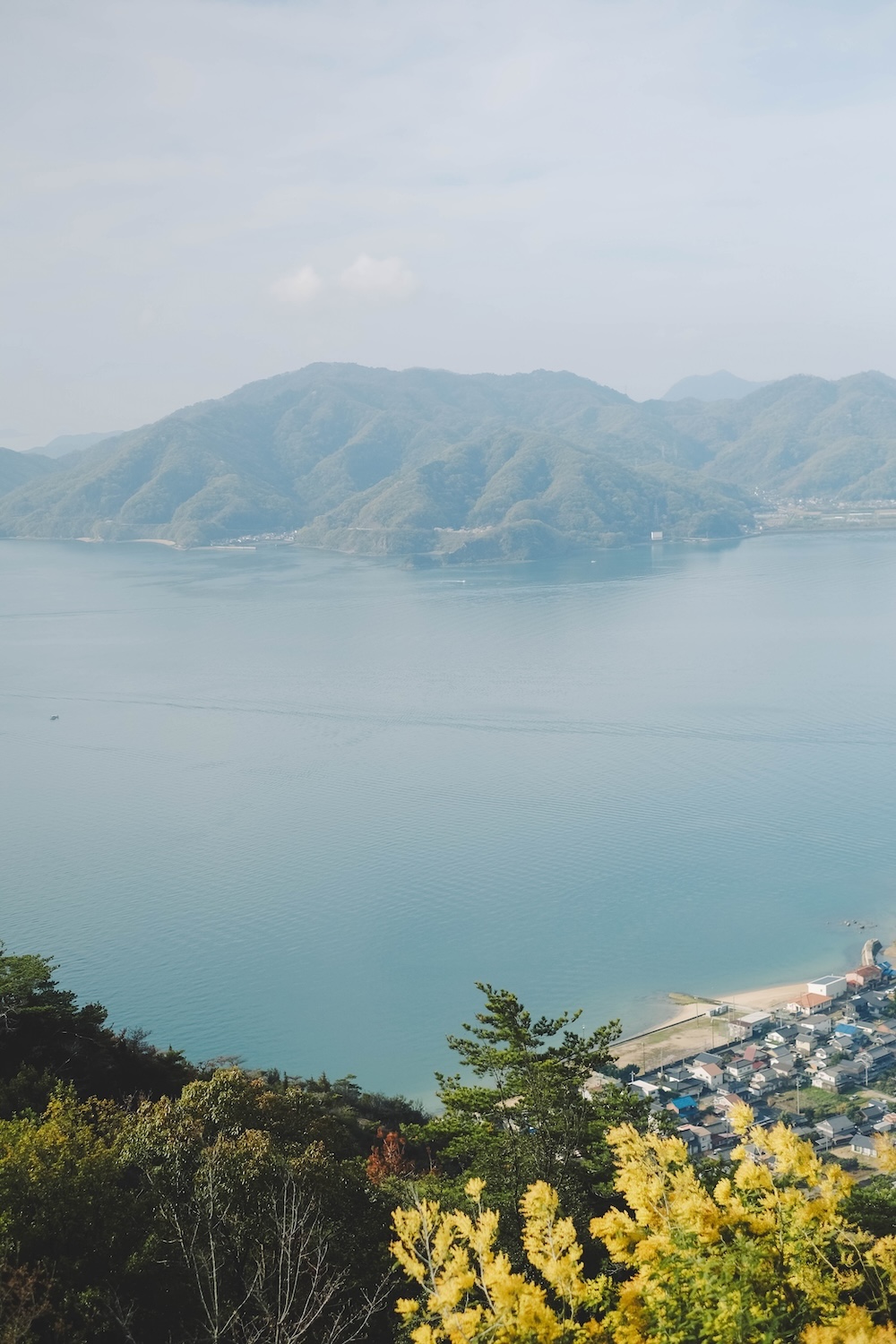 瀨戶內海2天1夜跳島追櫻｜從尾島向島、生口島至紫雲出山，橫跨4縣春日絕景之旅15