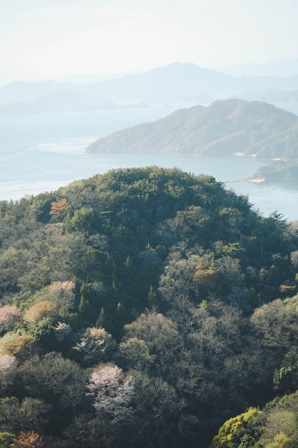 瀨戶內海2天1夜跳島追櫻｜從尾島向島、生口島至紫雲出山，橫跨4縣春日絕景之旅201