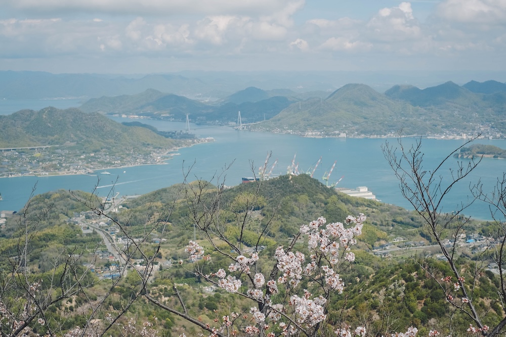 瀨戶內海2天1夜跳島追櫻｜從尾島向島、生口島至紫雲出山，橫跨4縣春日絕景之旅64
