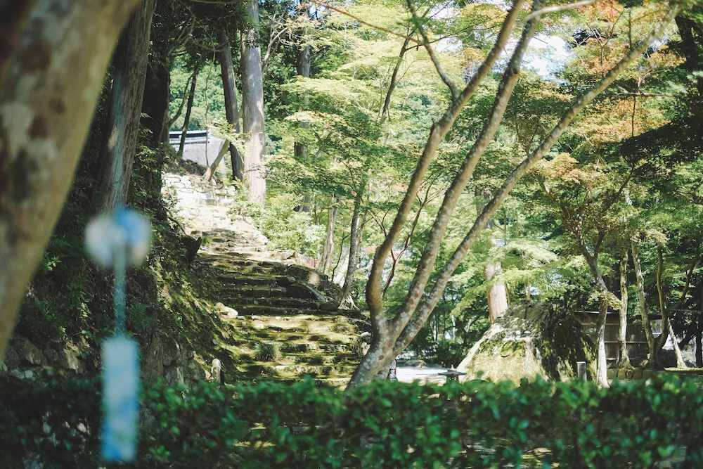 瓦屋禅寺 夏季 風鈴12