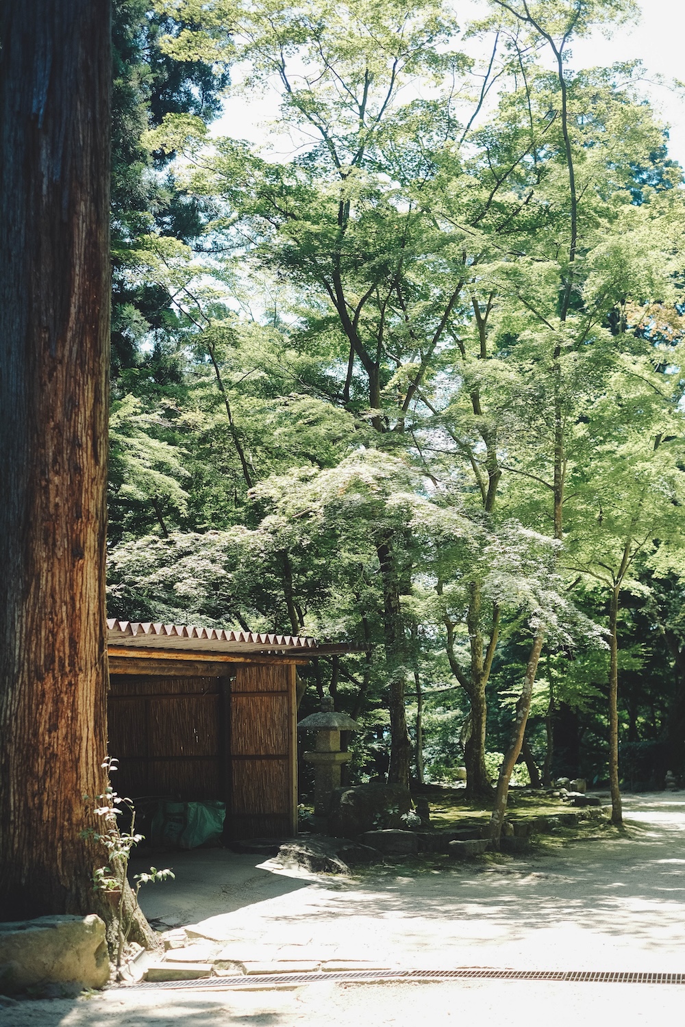 瓦屋禅寺 夏季 風鈴22