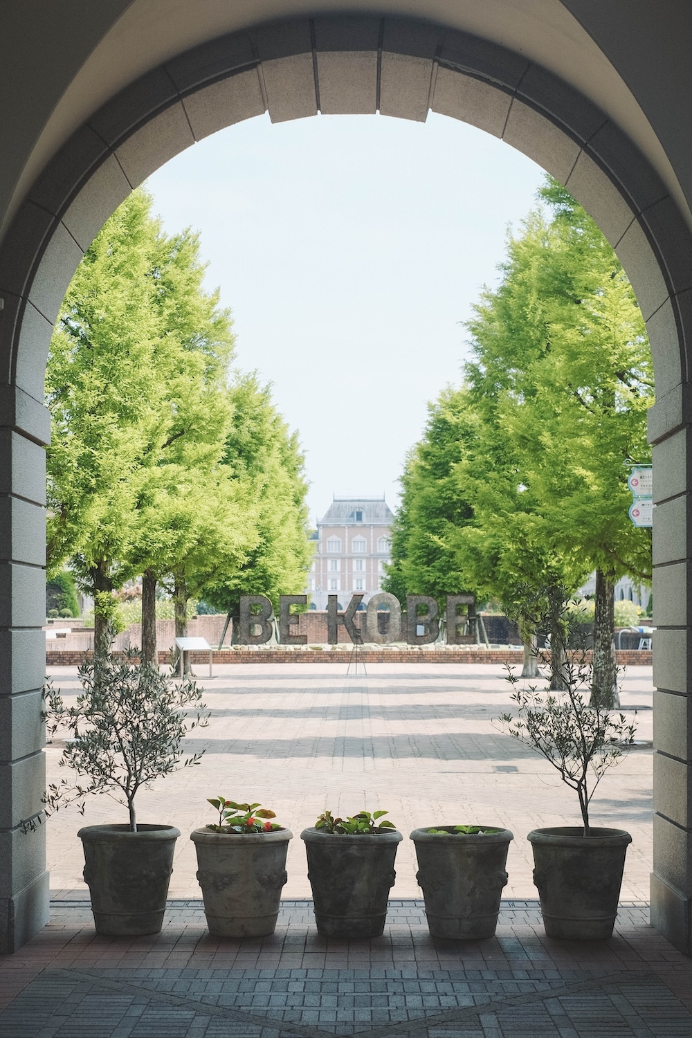 神戶夏季限定景點｜北區「道之驛 神戶水果花卉公園 大澤」3,000株白色繡球花海00