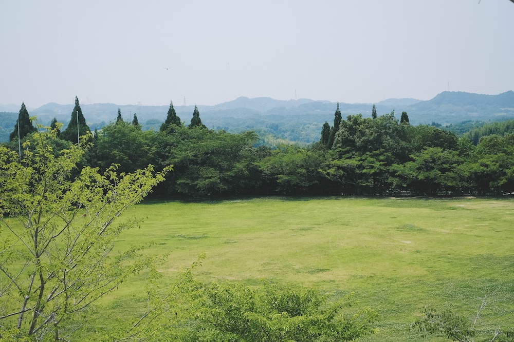 神戶夏季限定景點｜北區「道之驛 神戶水果花卉公園 大澤」3,000株白色繡球花海211