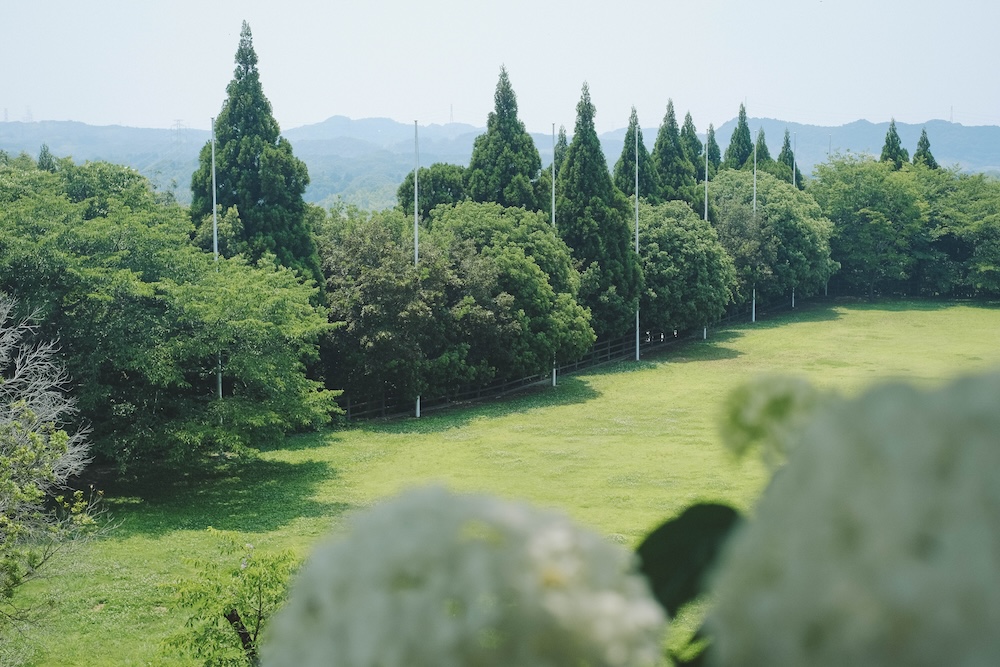 神戶夏季限定景點｜北區「道之驛 神戶水果花卉公園 大澤」3,000株白色繡球花海238
