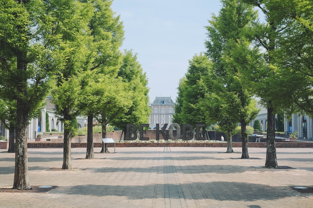 神戶夏季限定景點｜北區「道之驛 神戶水果花卉公園 大澤」3,000株白色繡球花海251
