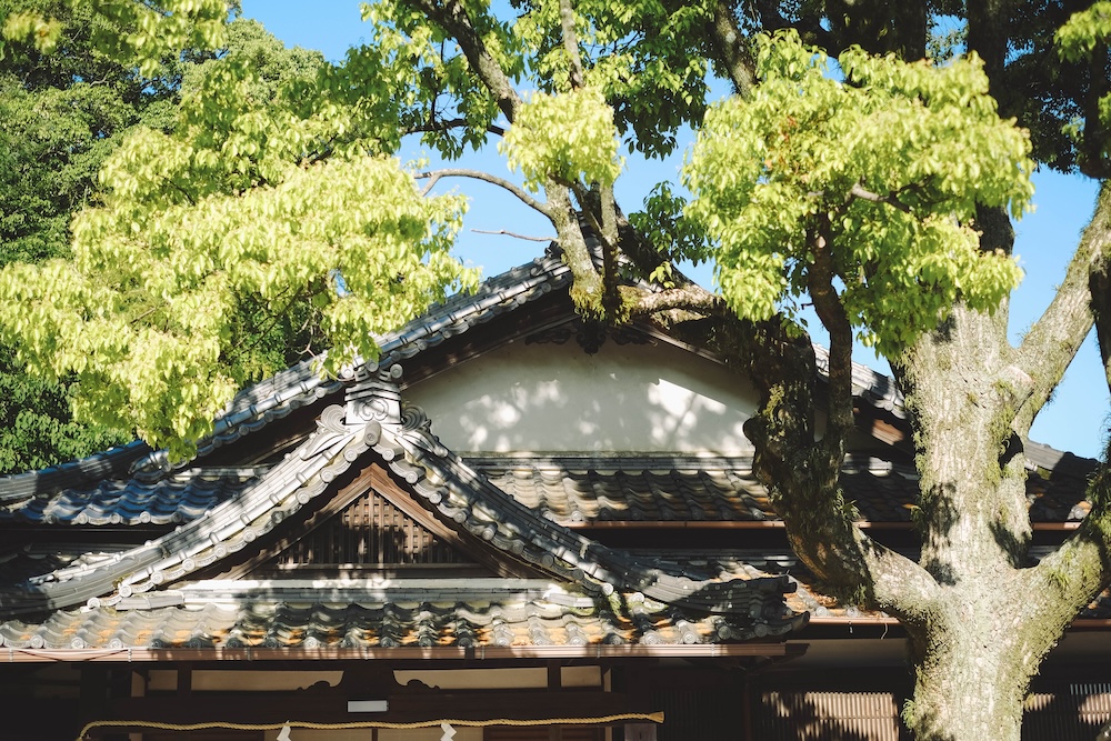 神戶平野・坡道散策｜平清盛淵源之地，天王茶屋・麁相sosou.・祇園神社・湊川温泉160
