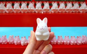【京都景點】兔兔迷必訪！京都岡崎神社兔子御守