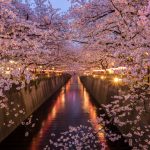 【東京賞櫻景點】目黑川沿岸賞櫻－帶你欣賞不可思議的櫻花美景！